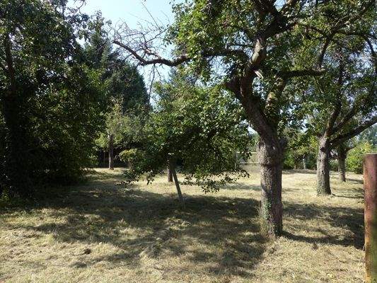 Grundstück/Pachtland 