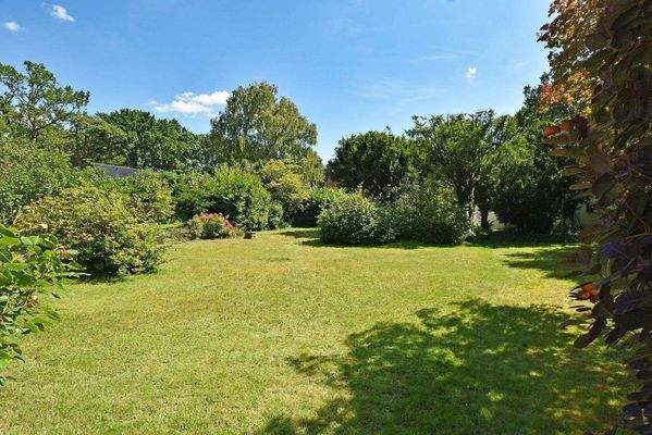 weitläufige Rasenfläche 