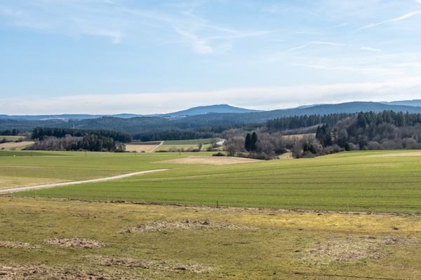 Blick ins Grüne