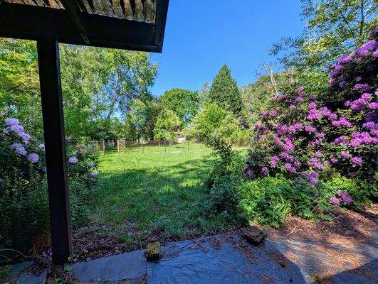 BLICK IN DAS GRUNDSTÜCK 