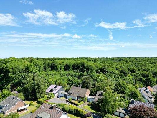 Neveltal, Hörsterholz + Weitmarer Holz