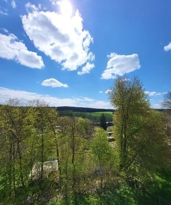 Blick ins Grüne