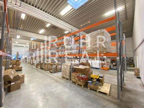 Grevenbroich Halle, Grevenbroich Hallenfläche