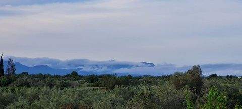 Benicarlo Grundstücke, Benicarlo Grundstück kaufen