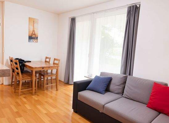 heller Wohn-/Essbereich