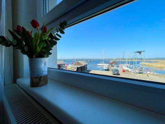 Aussicht vom 2. SZ.jpeg