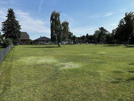 Grundstk. 1 - Blick Ri. Osten