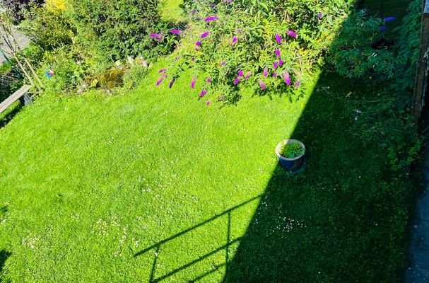 Blick in den Garten von oben