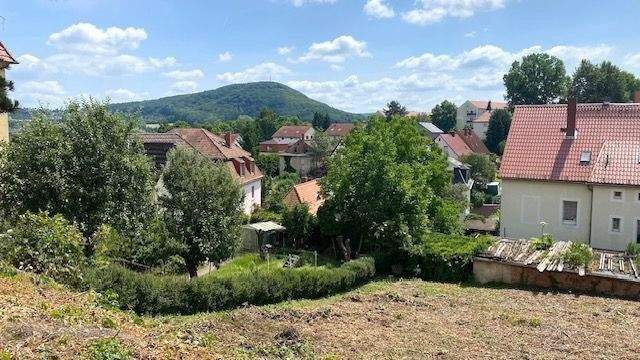 Blick auf den Windberg.jpg