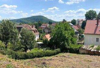 Blick auf den Windberg.jpg