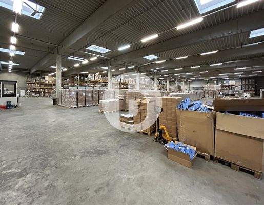 Beispielansicht Halle