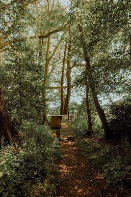 verwunschener Spielhain