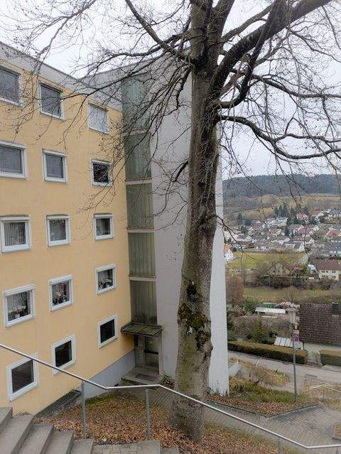 Rohrdorf Wohnungen, Rohrdorf Wohnung kaufen