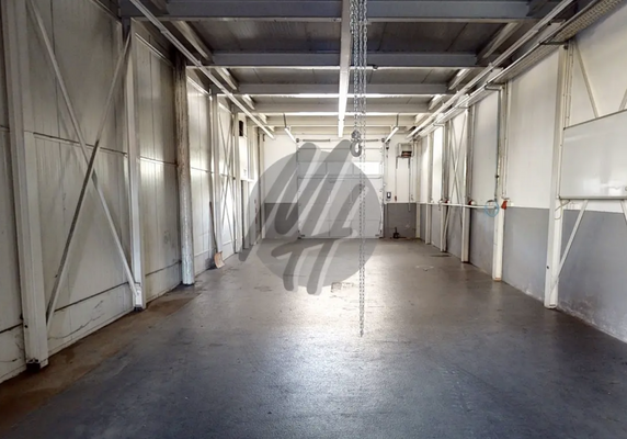 INFOS UNTER: 06171-586000