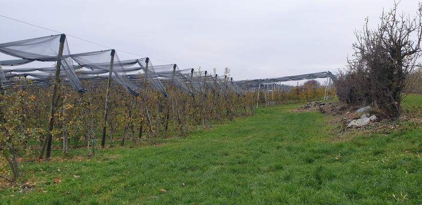 unbepflanzter Teil.jpg