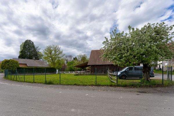 Wiese neben der Stallung