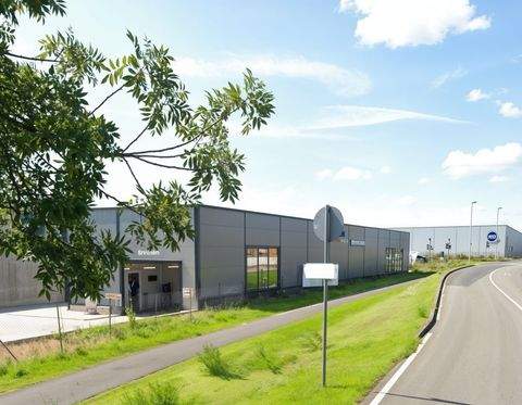 Gelnhausen Halle, Gelnhausen Hallenfläche