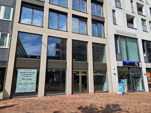 Hamburg Altona-Altstadt Büros, Büroräume, Büroflächen 