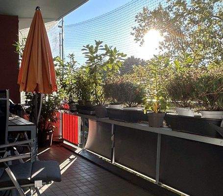 großer SÜD-BALKON.jpeg