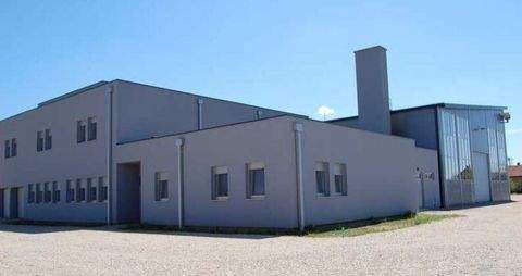 Backi Monostor Halle, Backi Monostor Hallenfläche