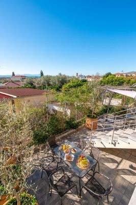 top down back yard.jpg