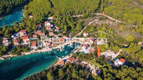 Vela Luka Bauernhöfe, Landwirtschaft, Vela Luka Forstwirtschaft