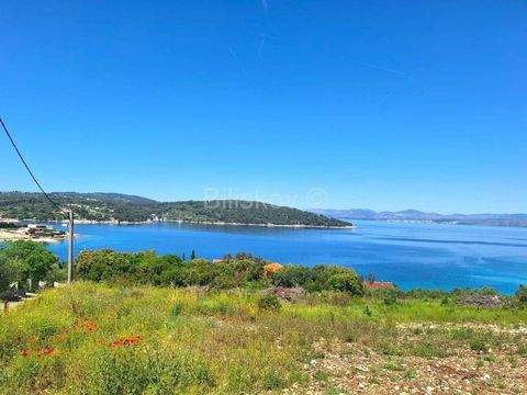 Solta Bauernhöfe, Landwirtschaft, Solta Forstwirtschaft