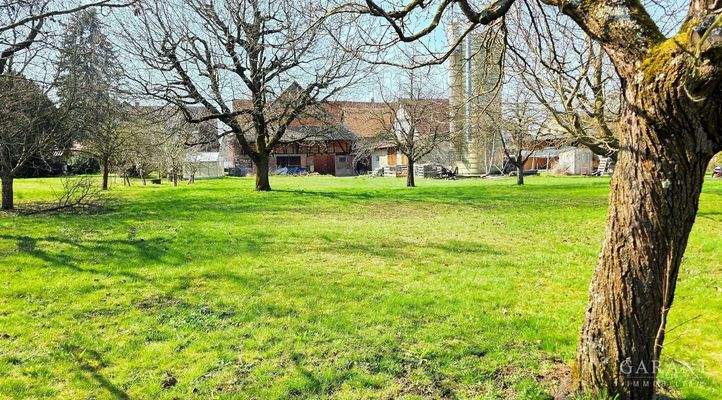 Grundstück + Gebäuderückseite