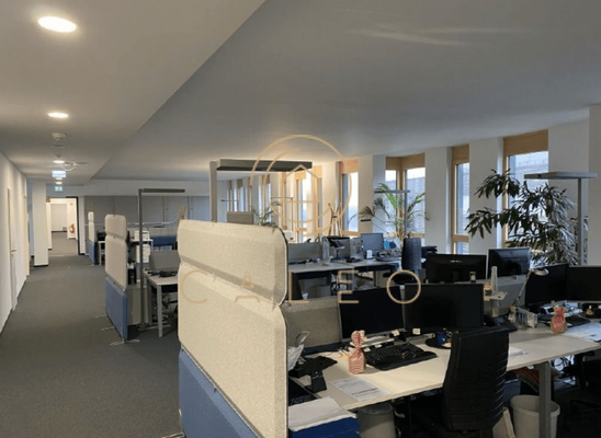 Innenansicht - Bürofläche 6