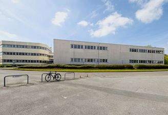 Screenshot 2025-08-04 105644