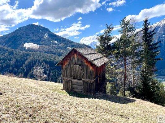 Bergwiese mit Heustadl