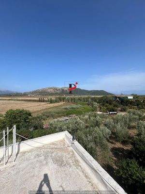 WhatsApp Image 2024-09-06 at 13.20.59 (33).jpeg