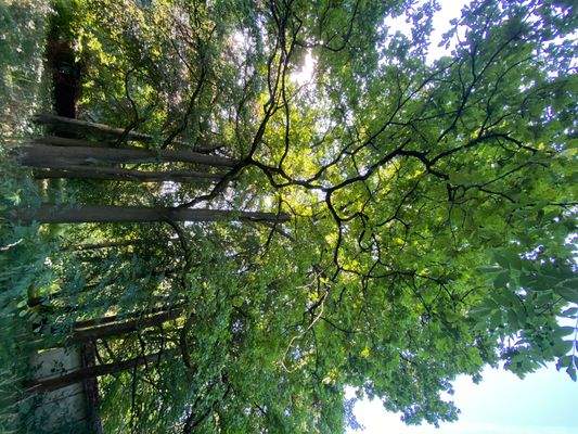 Schlosspark (13).JPG