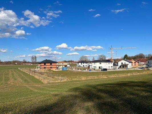 Bezaubernde Nachbarschaft