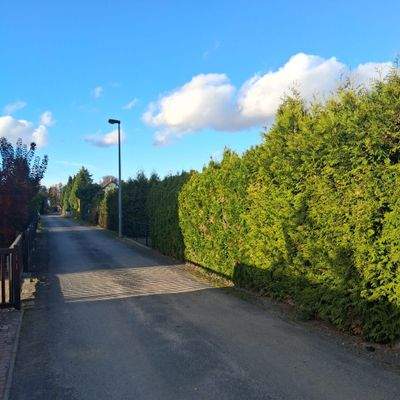 Zufahrt zum Grundstück.jpg