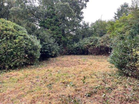 Hinterer Teil des Grundstücks.jpg