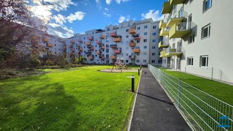 Wiener Neustadt Wohnungen, Wiener Neustadt Wohnung mieten