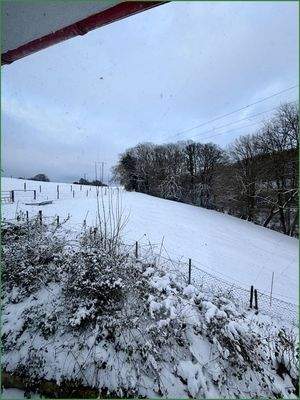 Aussicht aus dem Wohnzimmer