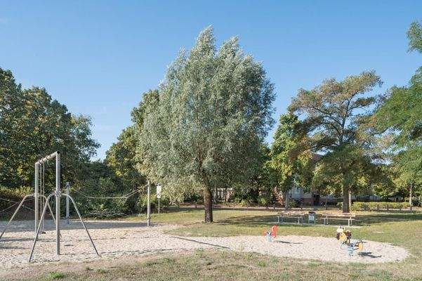 Wolfsburg-BriegerWeg-06-14_9439