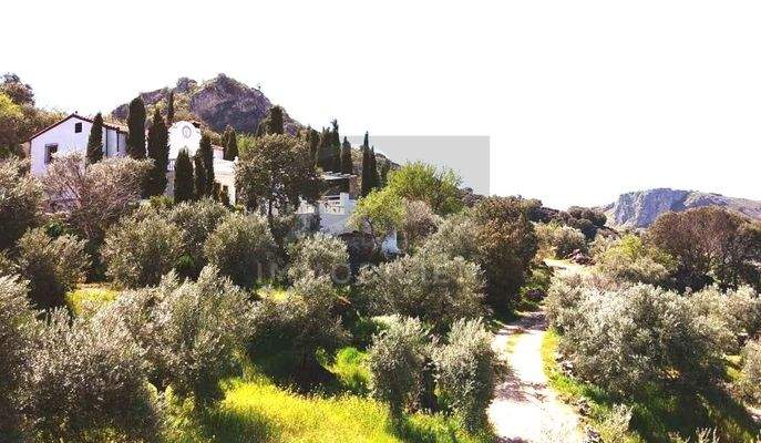 Hausansicht inkl. eigener Olivenplantage