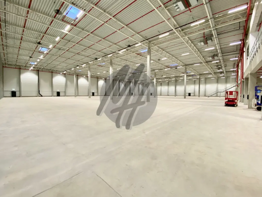 INFOS UNTER: 06171-586000