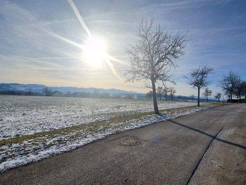 Steyr Häuser, Steyr Haus kaufen