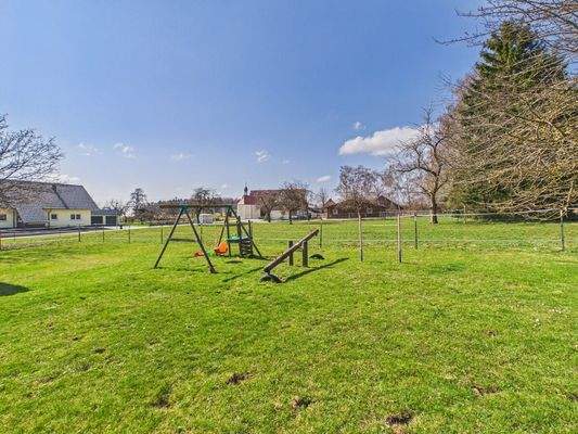 Wiese und Pferdekoppel