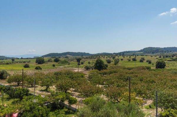 DETACHED HOUSE HALKIDIKI