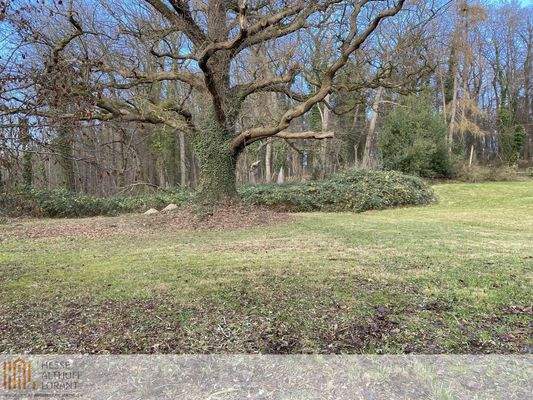 Eiche (Naturdenkmal)