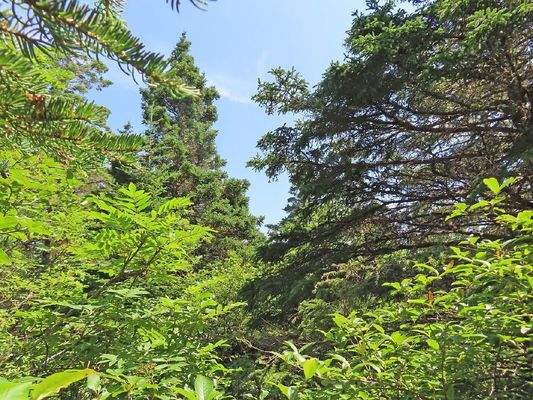 Nova Scotia - Grover?s Point - Wunderschönes Uferg