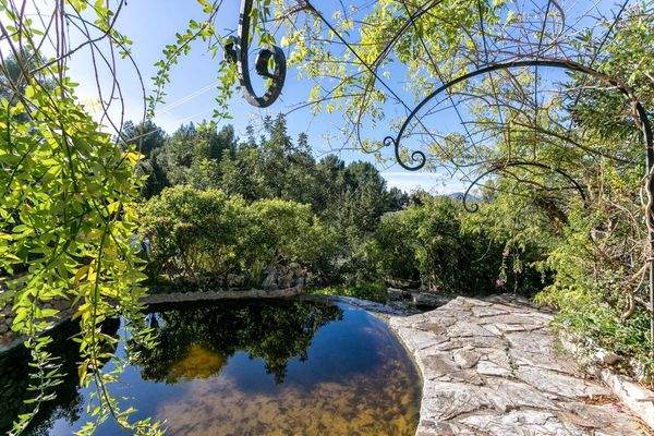 Herrliches Wasserbecken
