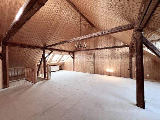 Sehr großes Studio für viele Möglichkeiten