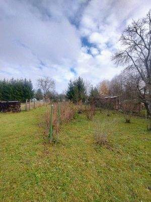 WhatsApp-kép, 2025-11-26, 17.24.11_01eb9a01.jpg