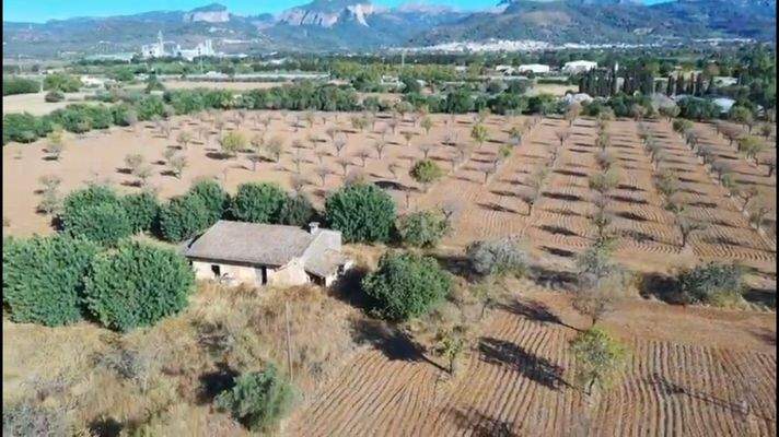 Suelo-edificable-Inca